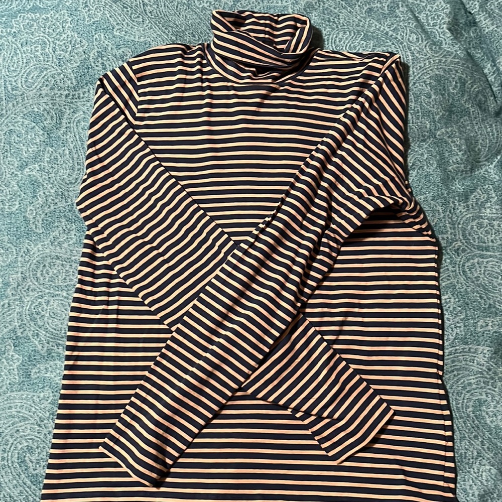 JCrew Striped Tissue Turtle Neck